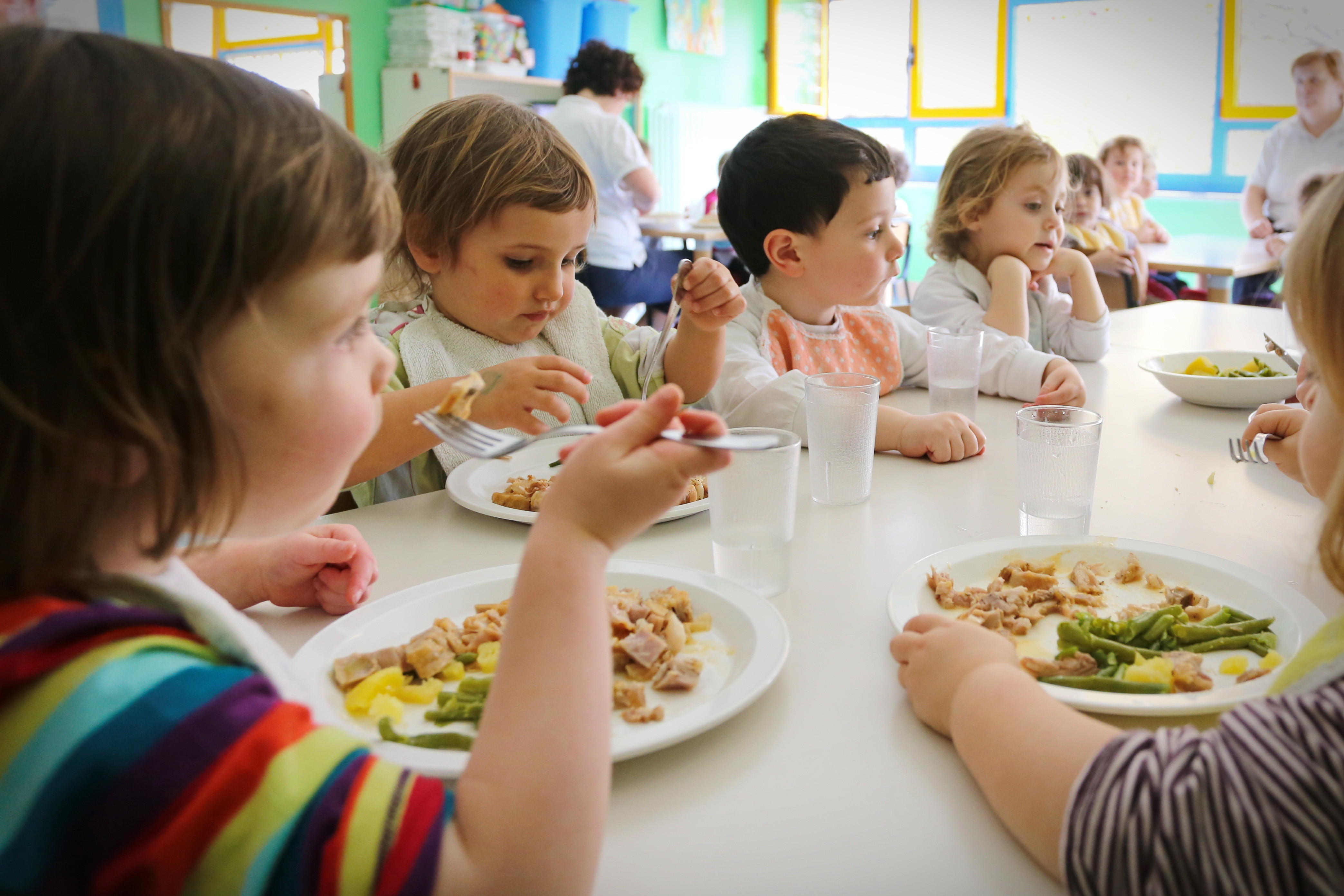 Pamplona aprueba 1.318 becas comedor para Infantil y Primaria hasta octubre 