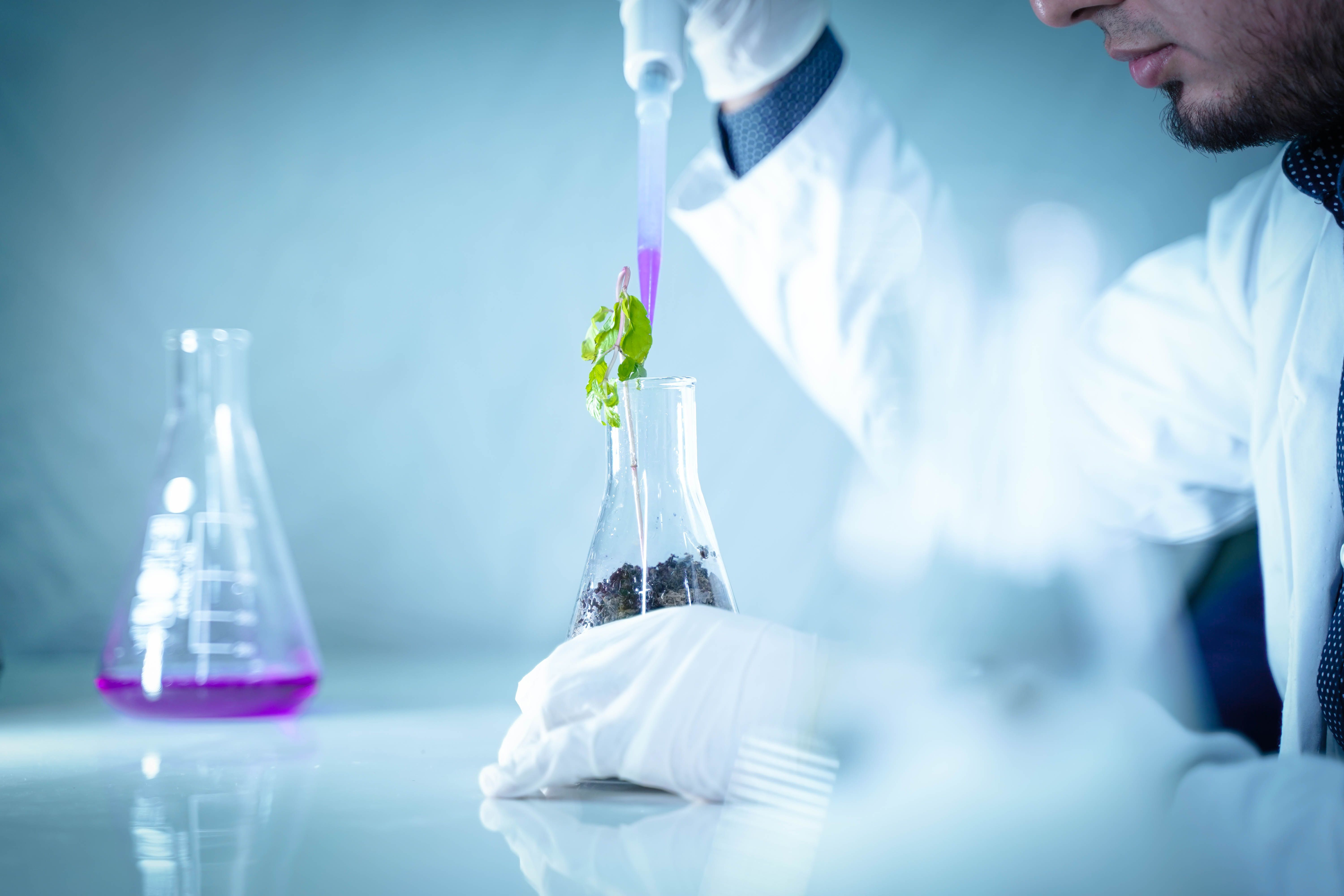 El  Plan de Ciencia, Tecnología e Innovación de Navarra se abre a exposición pública
