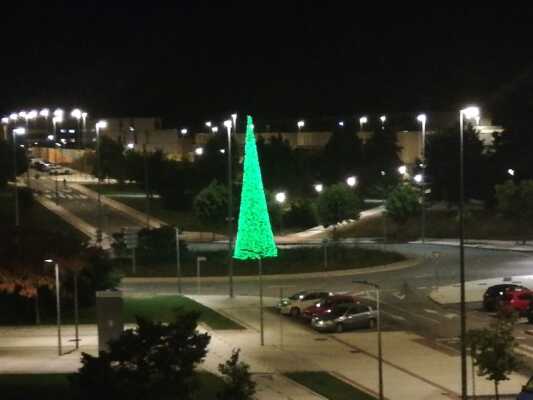 El Valle de Egüés ilumina de naranja su ayuntamiento y el pino de Sarriguren por el Día Nacional de la Epilepsia