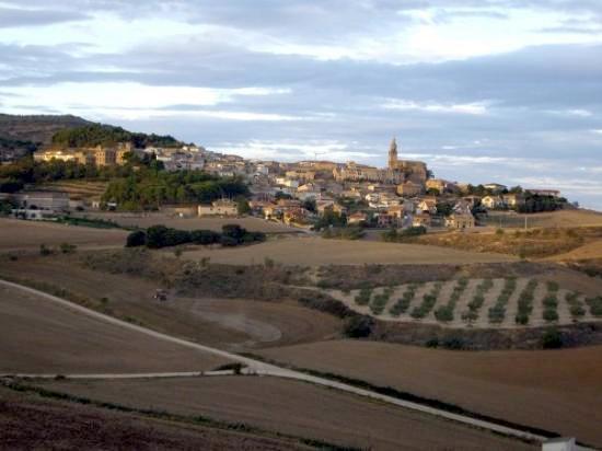 Cuatro heridos leves tras una colisión en cadena provocado por un jabalí en Dicastillo