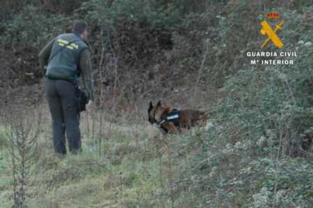 El Seprona ha investigado a un vecino de La Rioja por la utilización de cebos envenenados en el medio natural
